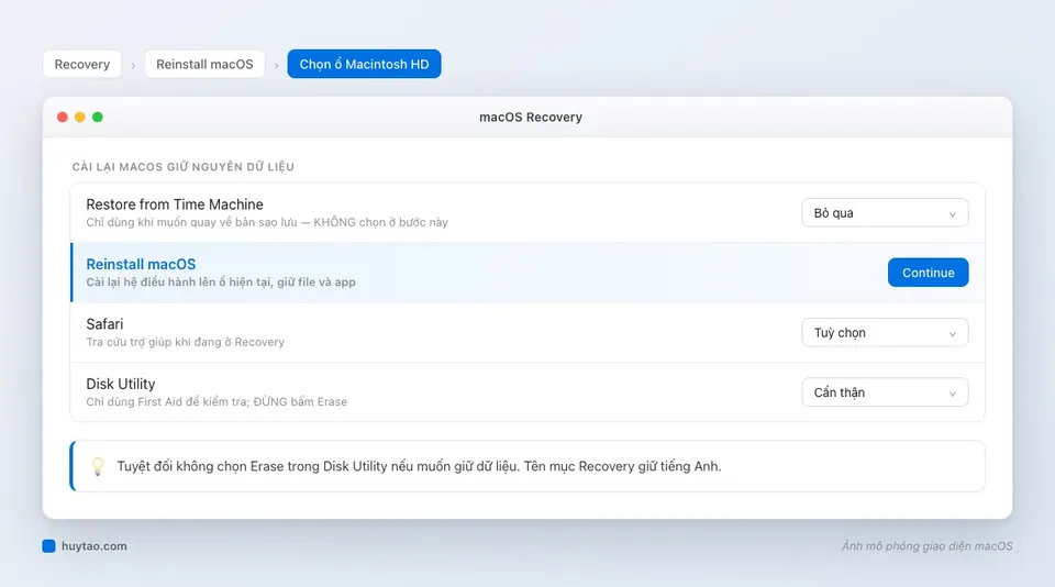 Chọn Reinstall macOS trong Recovery