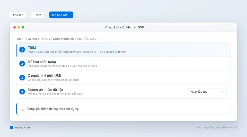 Khôi phục file đã xoá trên MacBook: 5 cách còn hiệu quả