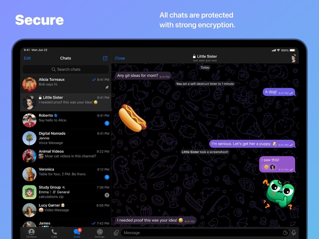 Giao diện Telegram trên Mac/iPad